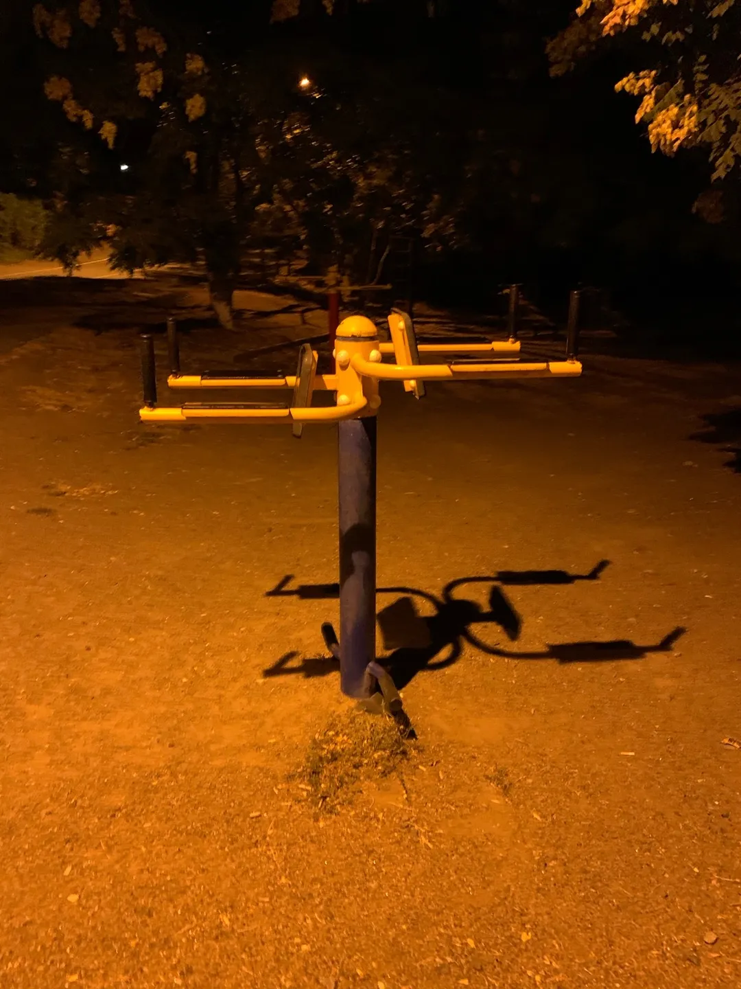 Bară de flotări la Calisthenics Park at Траса здоров’я, Одеса – fotografia 7 din 7