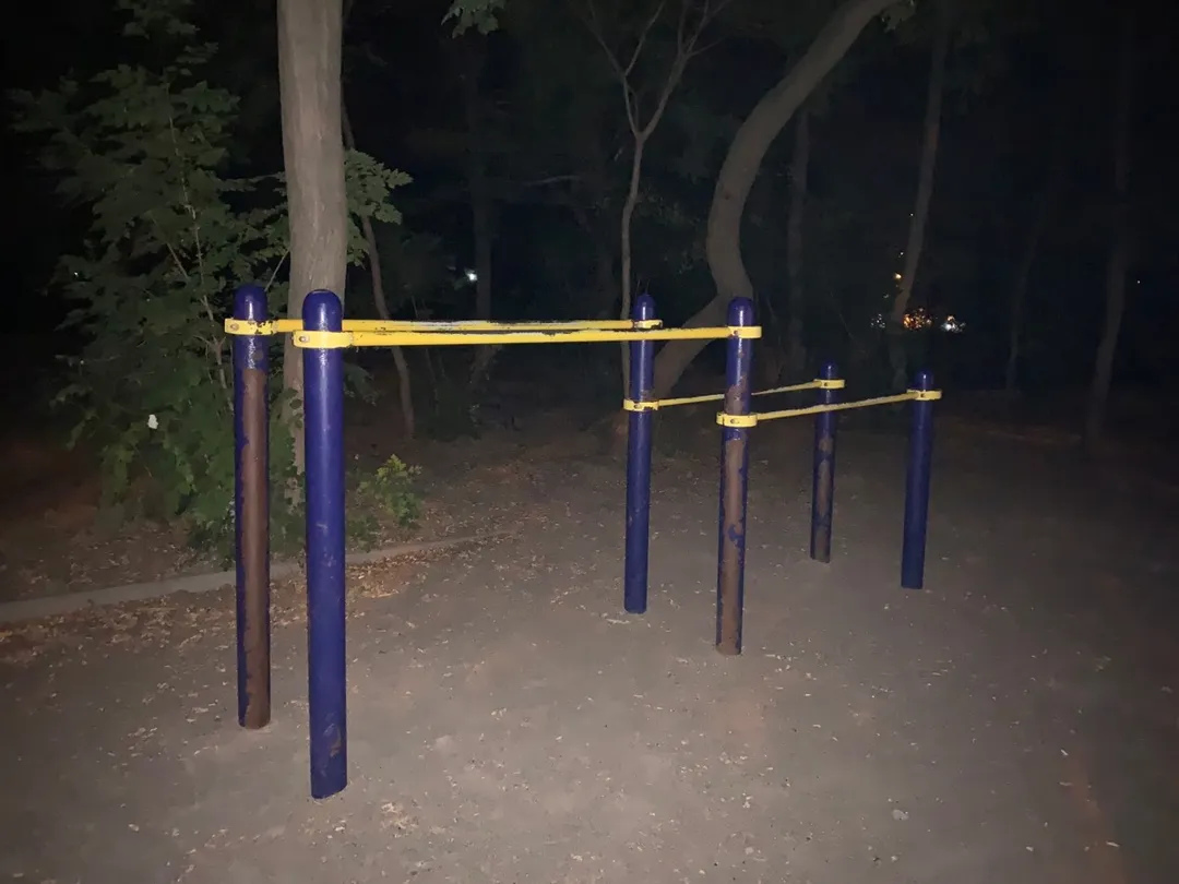 Platformă de sărituri la Calisthenics Park at Траса здоров’я, Одеса – fotografia 5 din 7