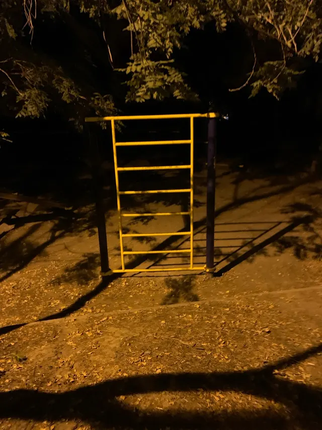 Calisthenics Park at Траса здоров’я, Одеса