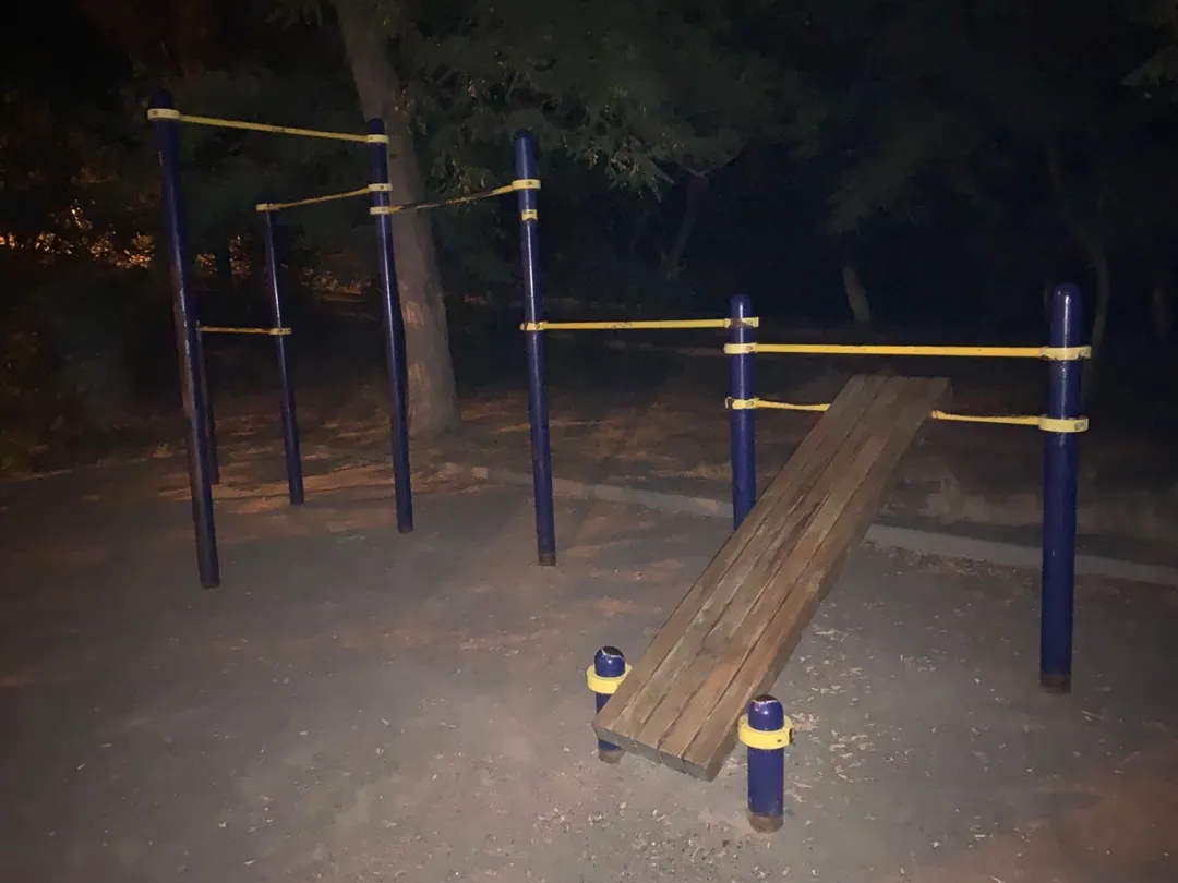 Bârnă de echilibru la Calisthenics Park at Траса здоров’я, Одеса – fotografia 4 din 7