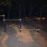 Calisthenics Park at Траса здоров’я, Одеса - thumbnail 3