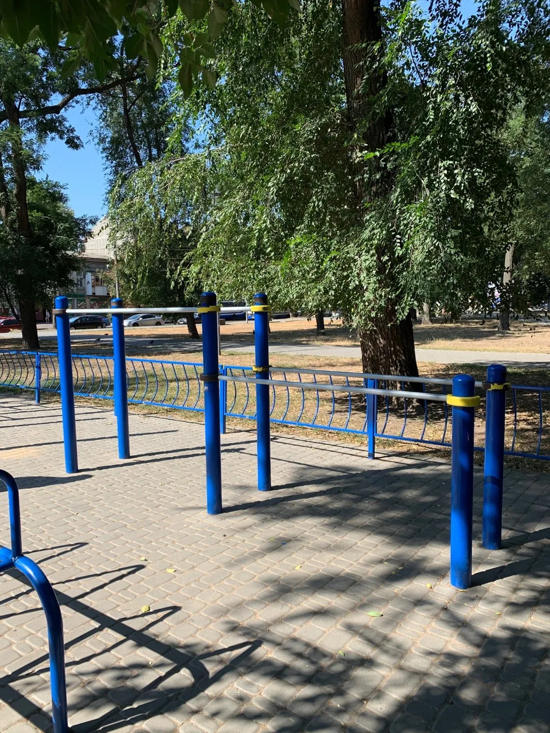 Abs Bench at Calisthenics Park at Старосінна площа, Одеса – photo 5 of 6