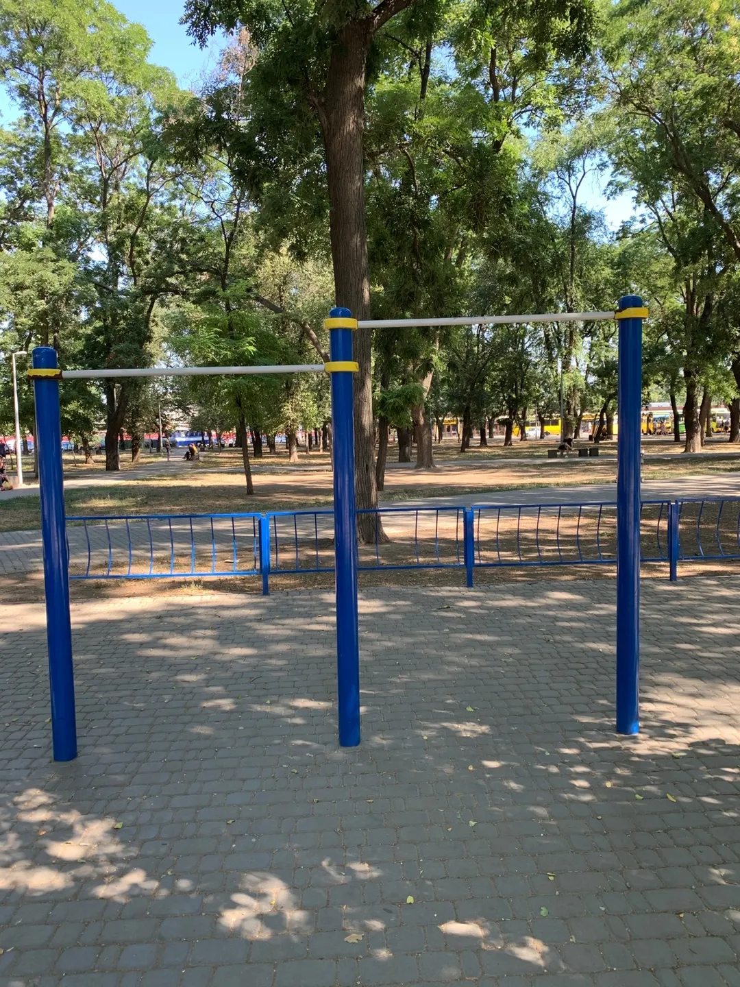 Wall Bars at Calisthenics Park at Старосінна площа, Одеса – photo 4 of 6