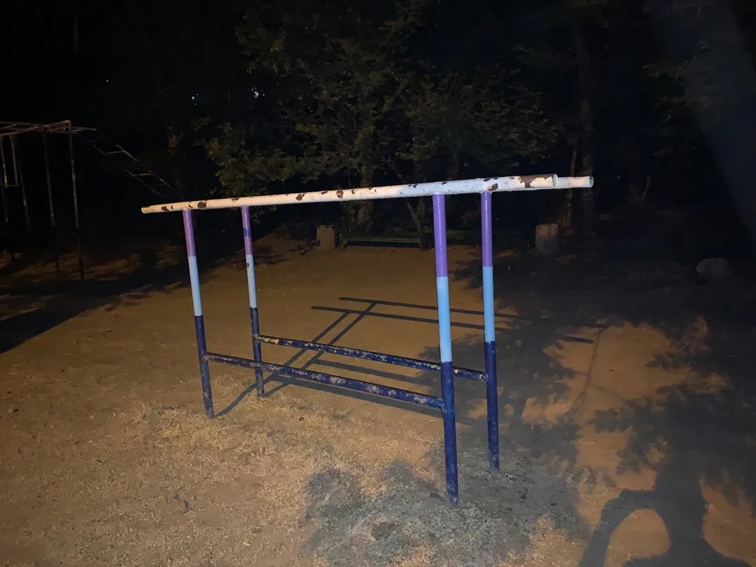 Barra de Dominadas en Calisthenics Park at Траса здоров’я, Одеса #wp1009 – foto 2 de 3