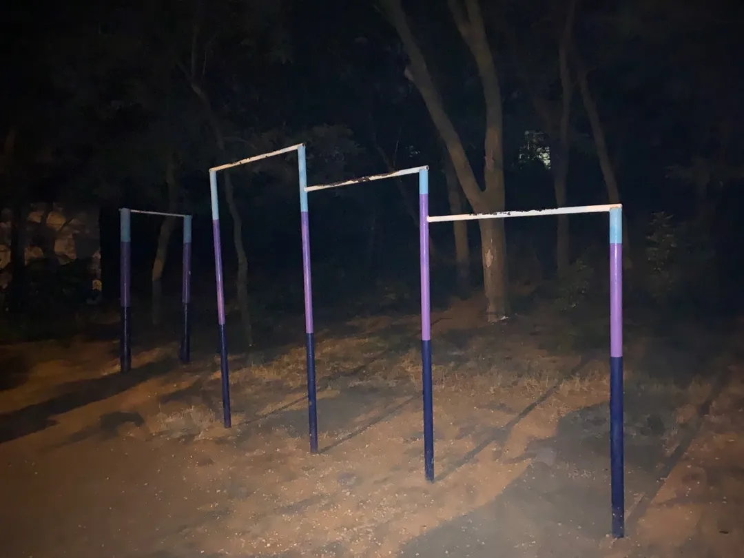 Parallel Gym Bars at Calisthenics Park at Траса здоров’я, Одеса #wp1010 – photo 1 of 3
