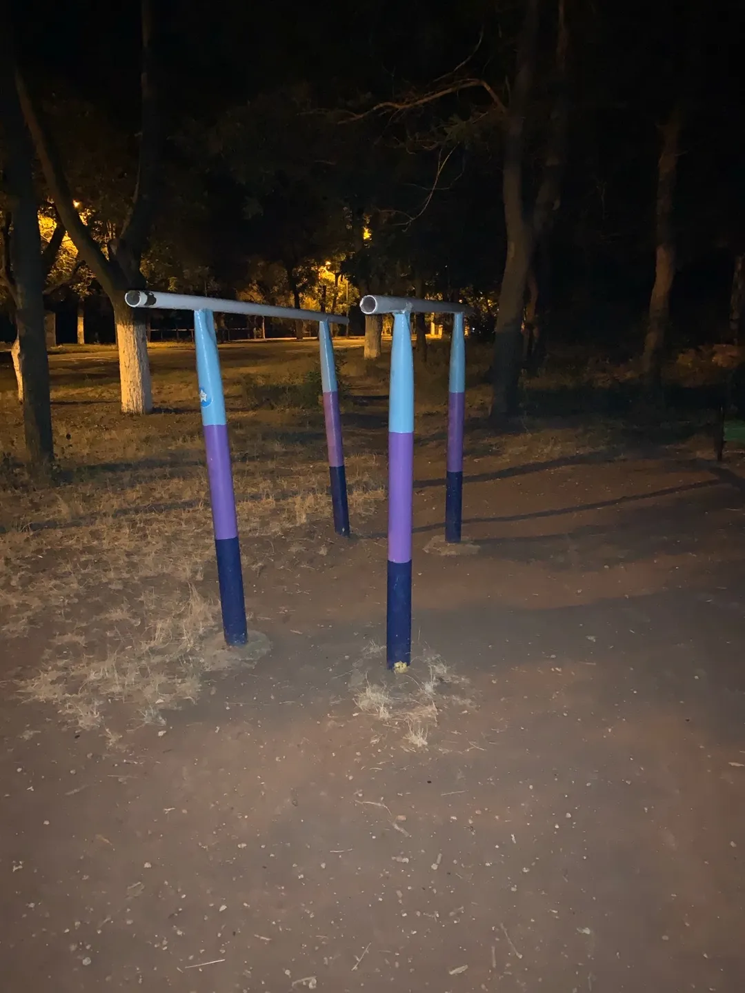 Pull Up Bar at Calisthenics Park at Траса здоров’я, Одеса #wp1010 – photo 2 of 3