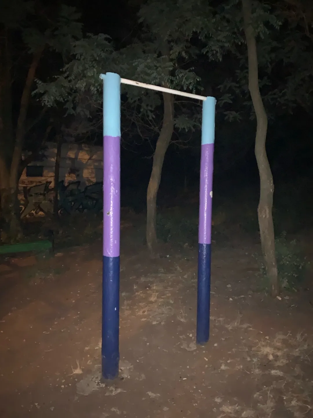 Parallel Gym Bars at Calisthenics Park at Траса здоров’я, Одеса #wp1010 – photo 3 of 3