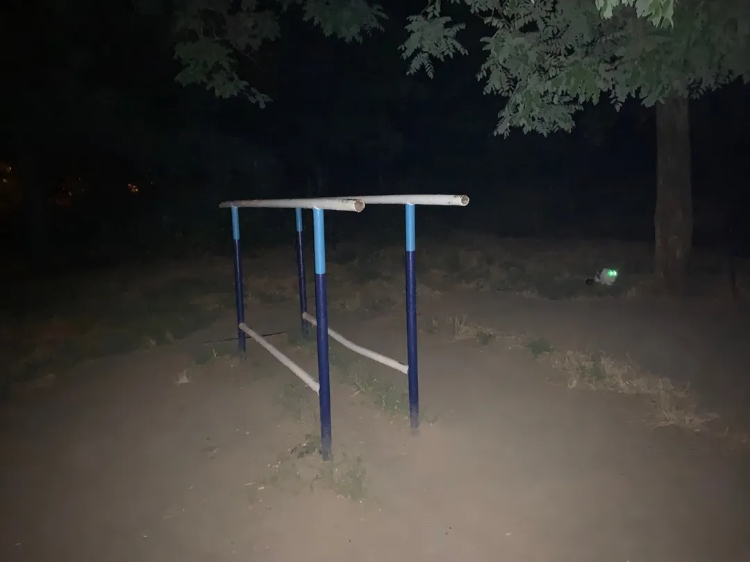 Pull Up Bar at Calisthenics Park at Траса здоров’я, Одеса #wp1011 – photo 2 of 2