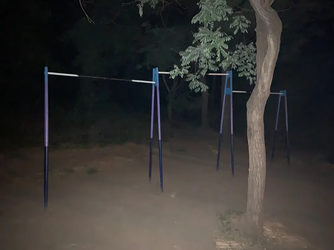 Parallel Gym Bars at Calisthenics Park at Траса здоров’я, Одеса #wp1011 – photo 1 of 2