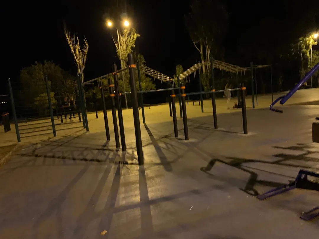 Barres de singe à Calisthenics Park at Траса здоров’я, Одеса #wp1012 – photo 3 sur 5