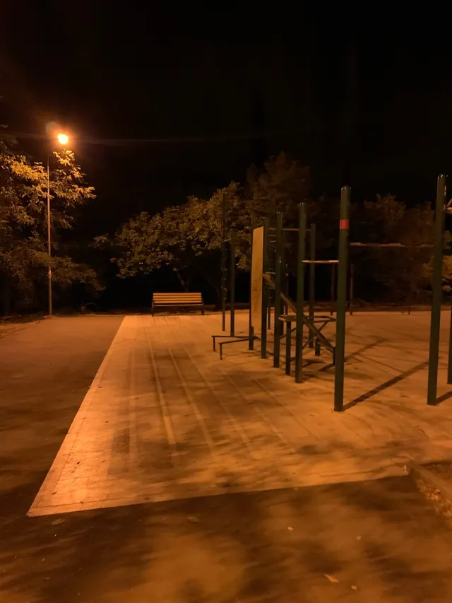 Calisthenics Park at Траса здоров’я, Одеса #wp1012