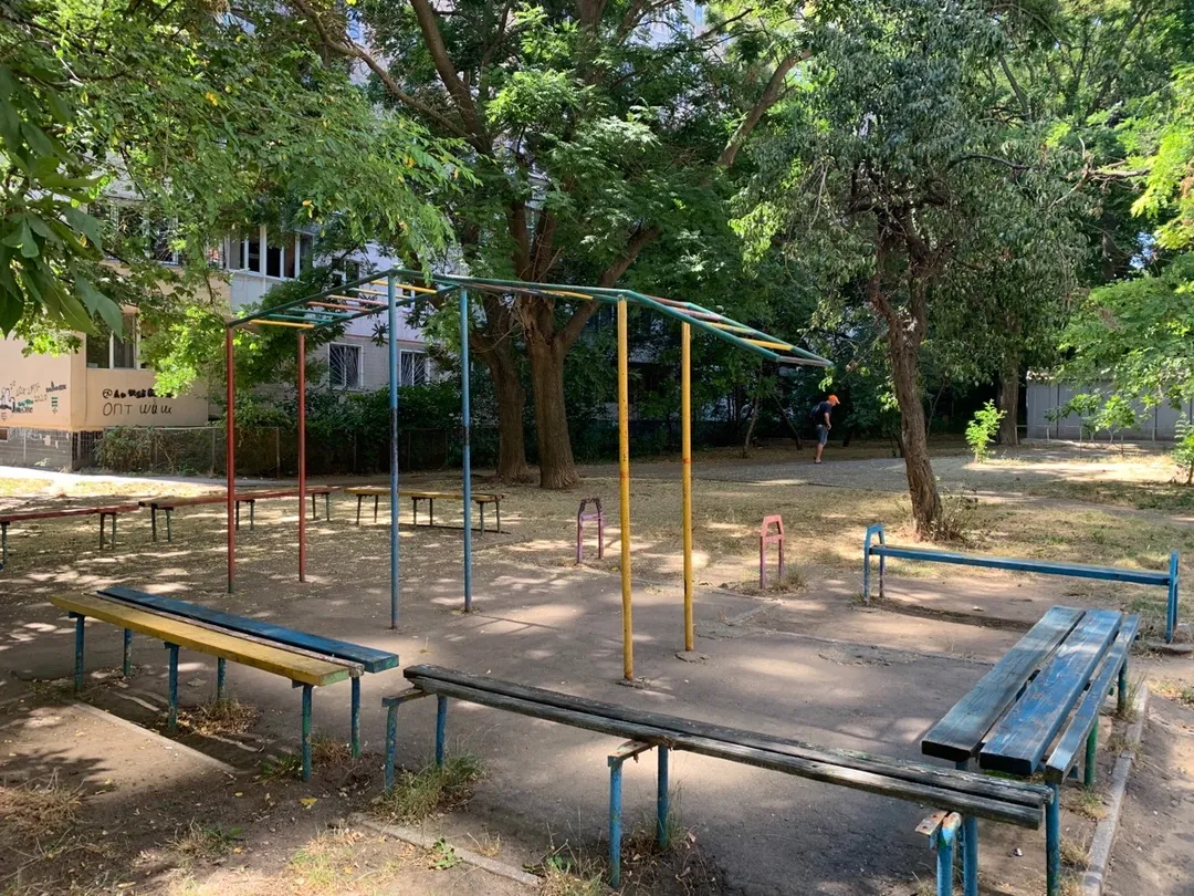 Wall Bars at Calisthenics Park at Світлий провулок, Одеса – photo 4 of 4