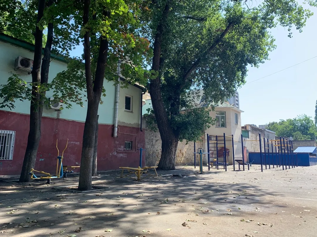 Espalderas en Calisthenics Park at Пироговська вулиця, Одеса – foto 4 de 4