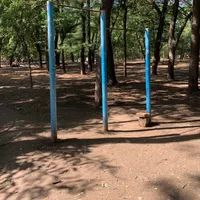 Calisthenics Park at Спортивна площадка з турниками, Одеса - thumbnail 2