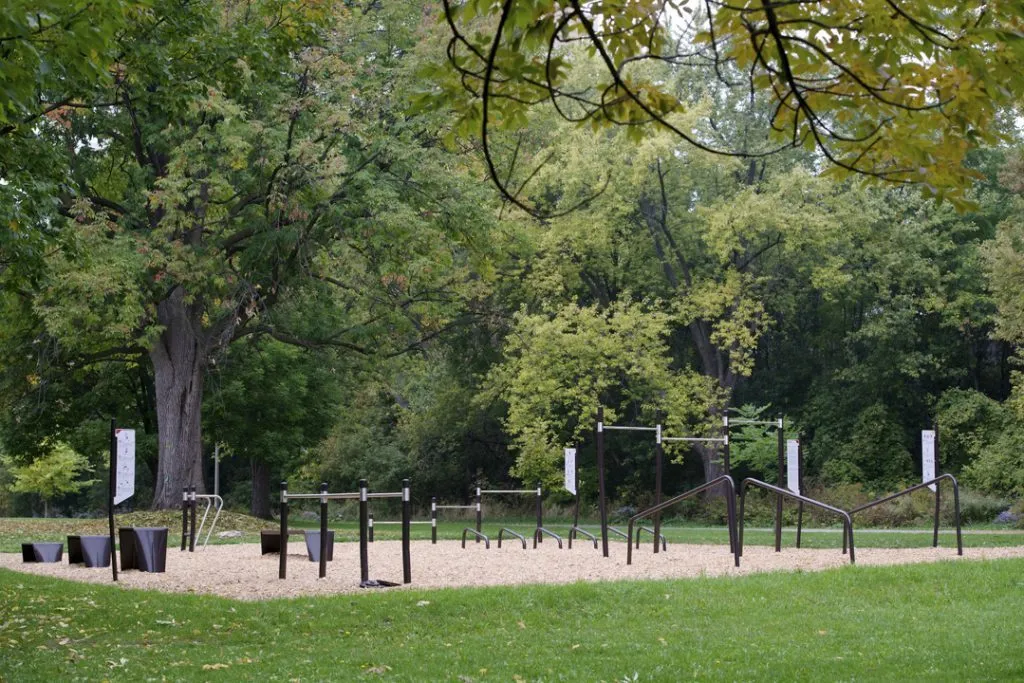 Plateforme de saut à Calisthenics Park at Cruikshank Park Calisthenics Equipment, Toronto – photo 1 sur 1