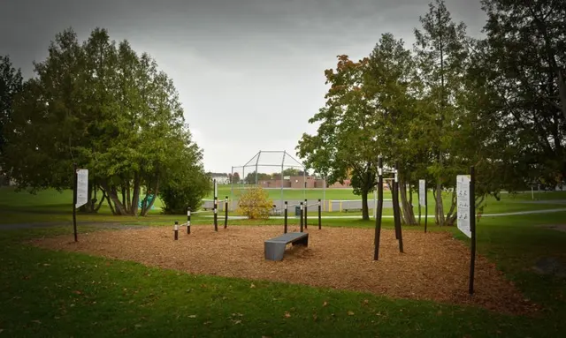 Calisthenics Park at Trekfit, Ottawa