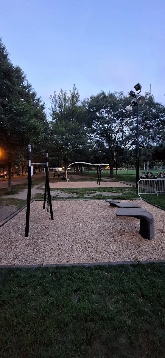 Liegestützgriffe bei Calisthenics Park at Rue de Brébeuf, Montréal – Foto 2 von 2