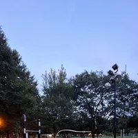Calisthenics Park at Rue de Brébeuf, Montréal - thumbnail 2