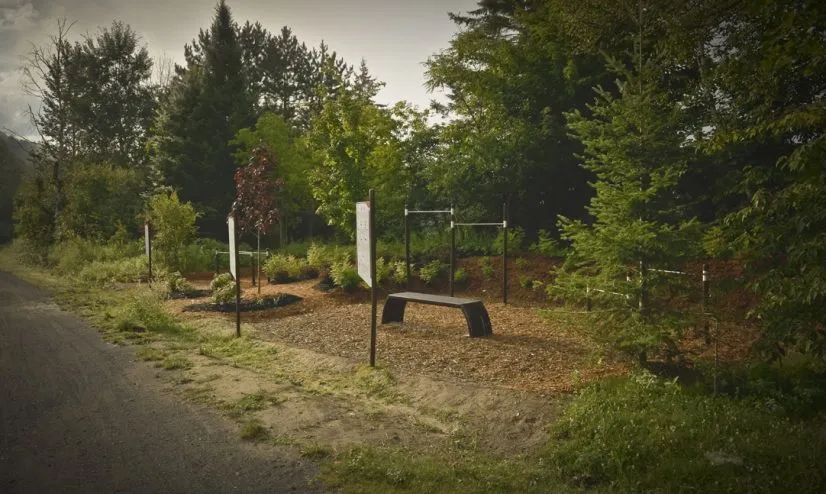 Sprungplattform bei Calisthenics Park at Chemin des Faucons, Piedmont – Foto 1 von 1