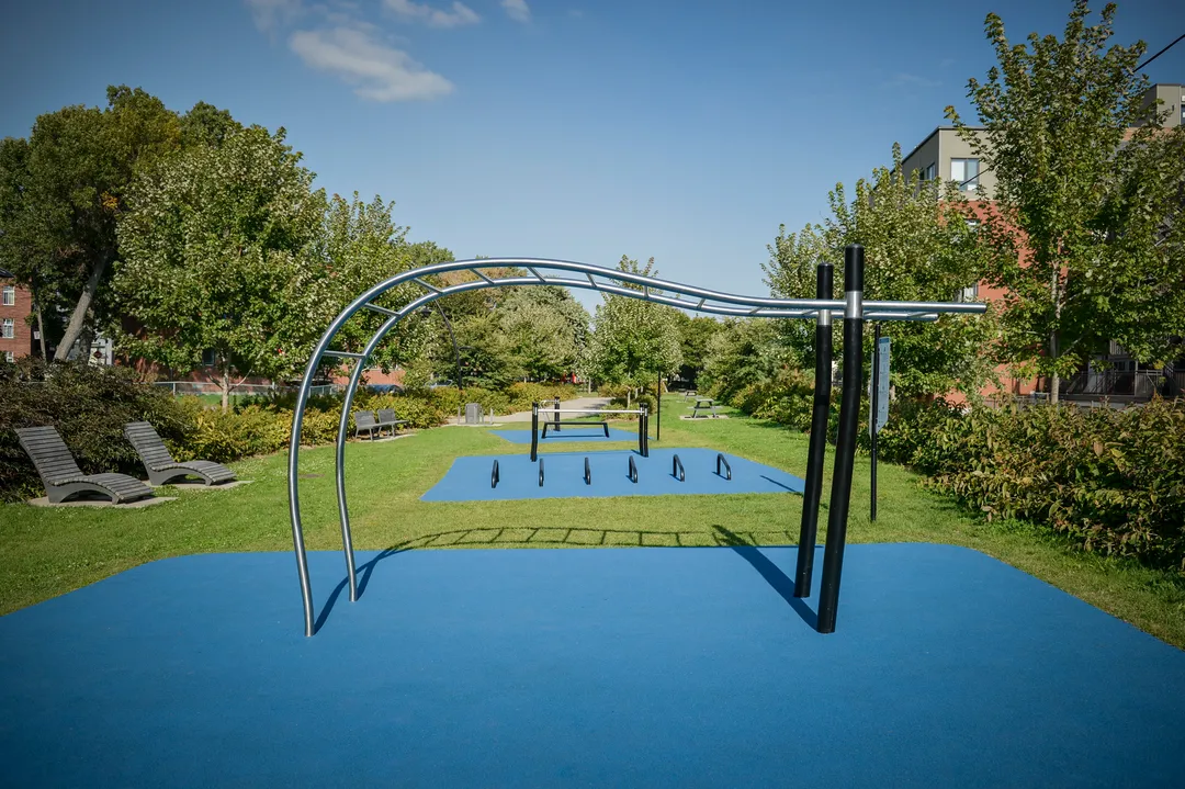 Bară de tracțiuni la Calisthenics Park at Rue Sainte-Marie, Montréal – fotografia 1 din 1