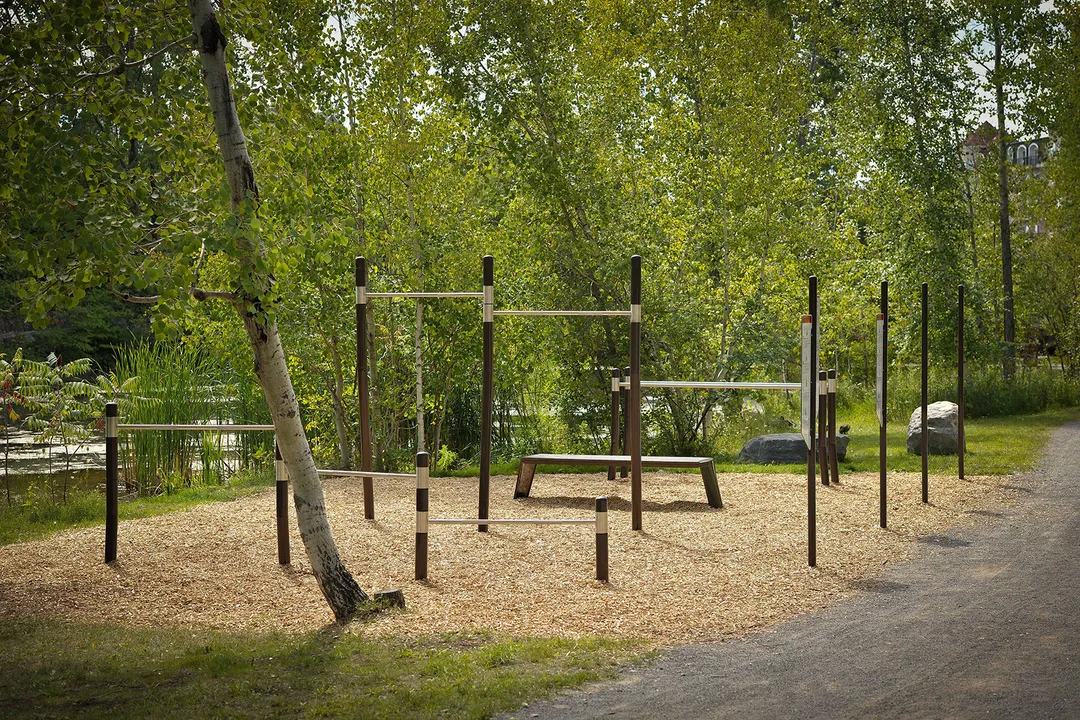 Liegestützgriffe bei Calisthenics Park at Chemin de la Côte-Saint-Louis, Sainte-Thérèse – Foto 1 von 1