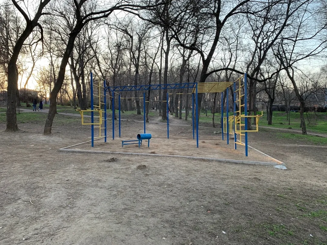 Parallel Gym Bars at Calisthenics Park at Розкидайлівська вулиця, Одеса – photo 2 of 3