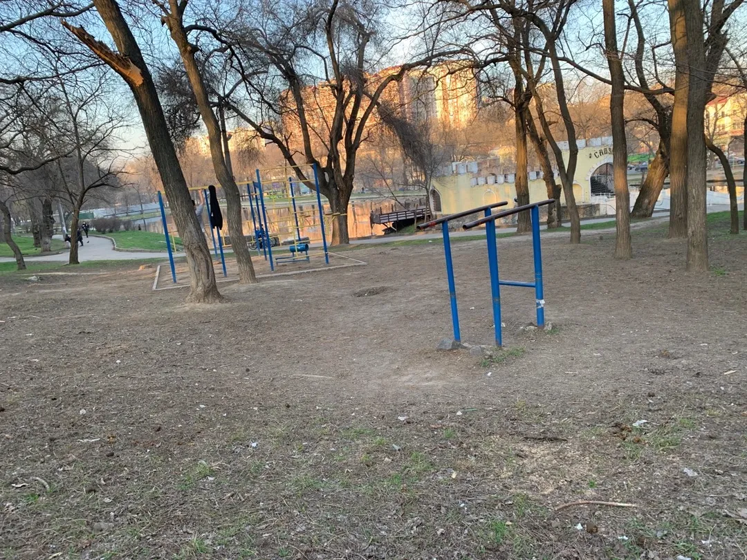 Pull Up Bar at Calisthenics Park at Розкидайлівська вулиця, Одеса – photo 1 of 3
