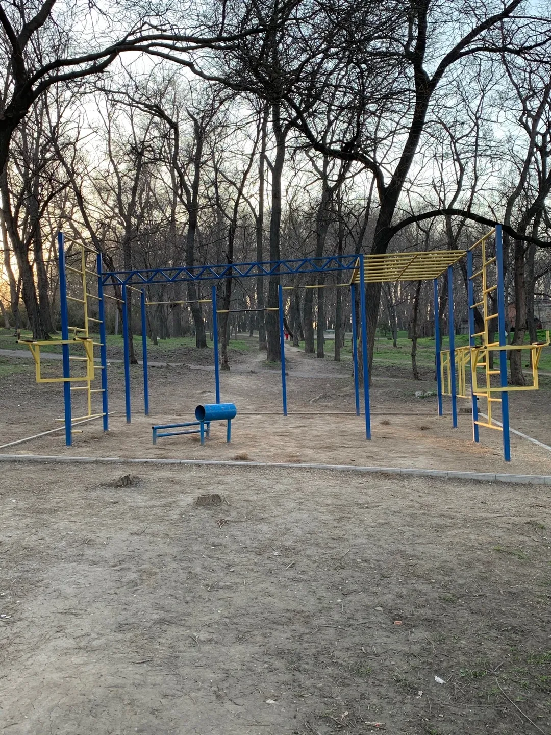 Wall Bars at Calisthenics Park at Розкидайлівська вулиця, Одеса – photo 3 of 3