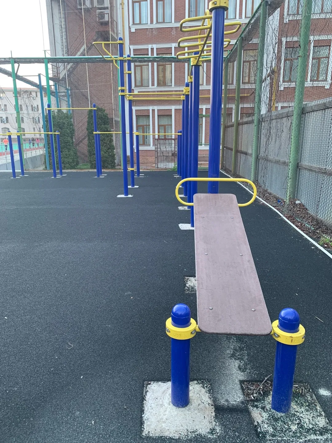 Monkey Bars la Calisthenics Park at Спорткомплекс ОЮА, Одеса – fotografia 3 din 4
