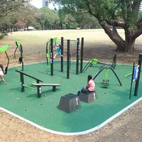 Calisthenics Park at Comer Street, Sydney - thumbnail 3