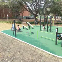 Calisthenics Park at Comer Street, Sydney - thumbnail 4