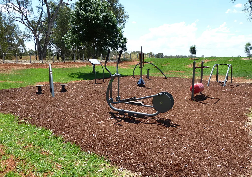 Air Walker la Calisthenics Park at Stan Peters Oval, Hillston – fotografia 3 din 7