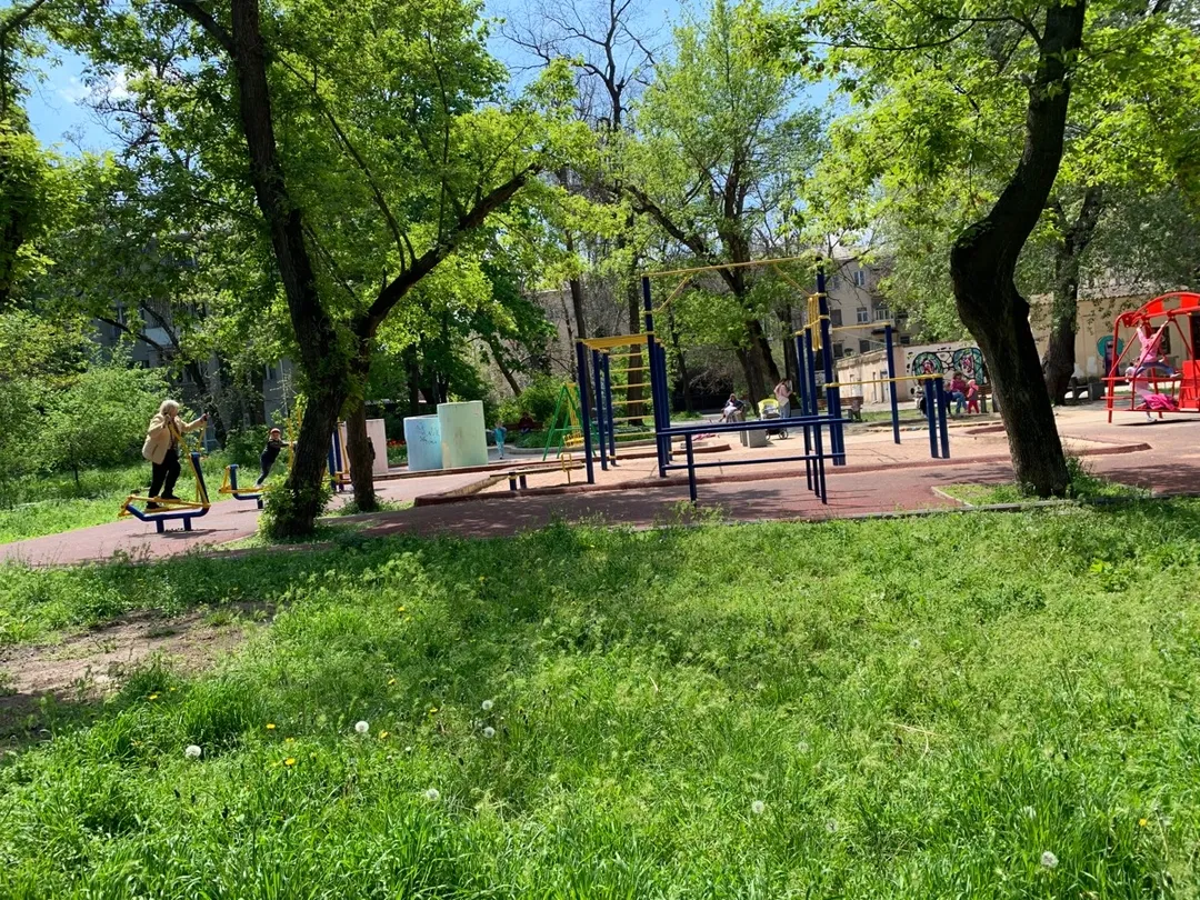 Barra de Dominadas en Calisthenics Park at Французький бульвар, Одеса – foto 1 de 1