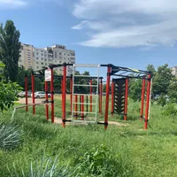 Calisthenics Park at вулиця Дмитра Луценка, Київ #wp1292 - thumbnail 2