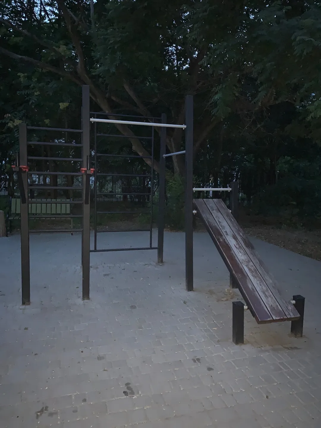 Bară de tracțiuni la Calisthenics Park at провулок Дунаєва, Одеса – fotografia 1 din 1