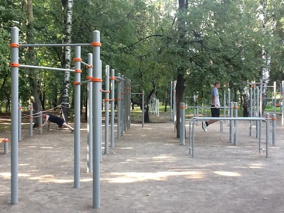 Wall Bars at Calisthenics Park at улица Свободы, Москва – photo 4 of 4