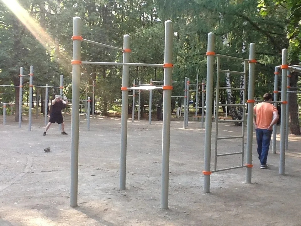 Monkey Bars at Calisthenics Park at улица Свободы, Москва – photo 3 of 4