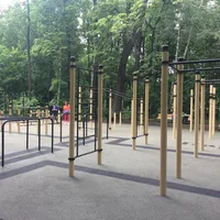 Calisthenics Park at Reebok crossfit, Москва - thumbnail 2