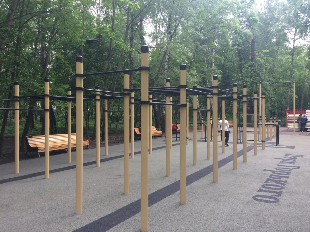 Pull Up Bar at Calisthenics Park at Reebok crossfit, Москва – photo 8 of 12