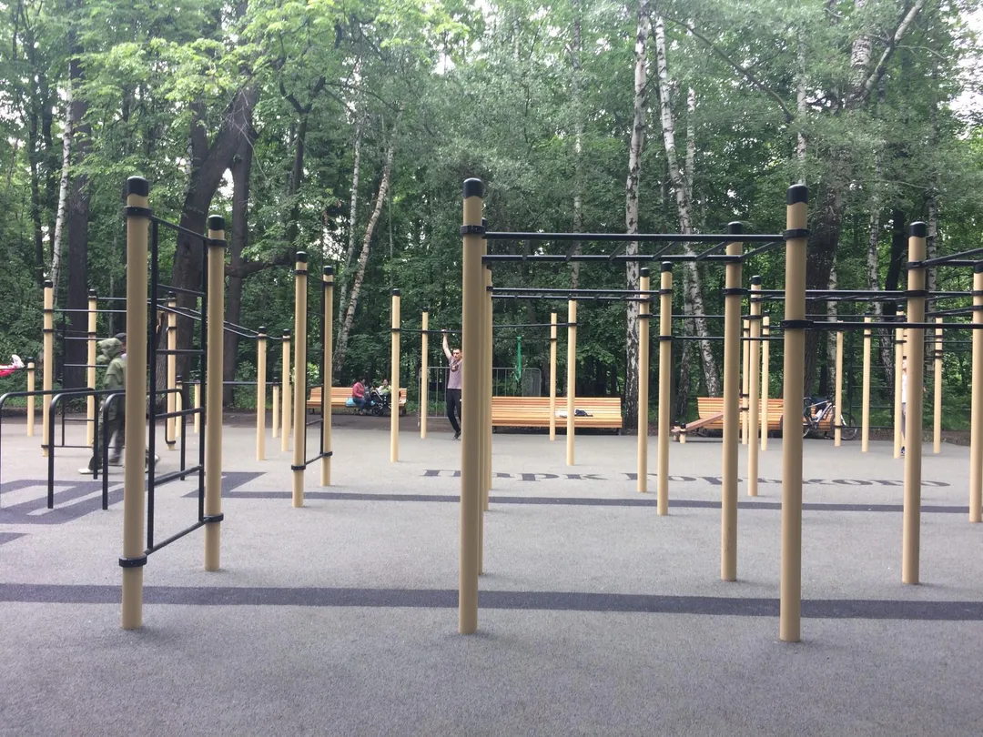 Parallel Gym Bars at Calisthenics Park at Reebok crossfit, Москва – photo 3 of 12