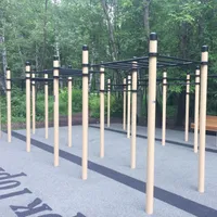 Calisthenics Park at Reebok crossfit, Москва - thumbnail 12