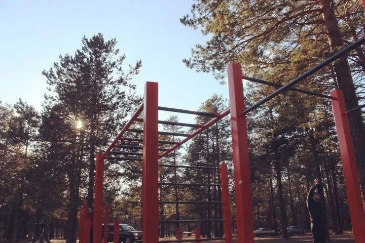 Sbarra per trazioni presso Calisthenics Park at улица Шилова, Чита – foto 1 di 5