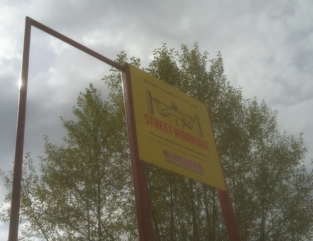 Monkey Bars at Calisthenics Park at Кайдаловская улица, Чита – photo 8 of 8