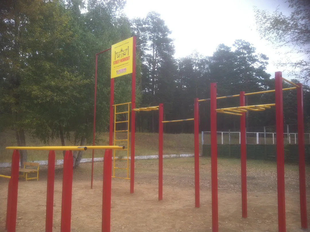 Monkey Bars at Calisthenics Park at Кайдаловская улица, Чита – photo 3 of 8