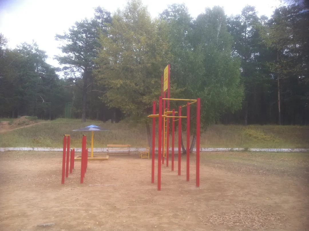 Wall Bars at Calisthenics Park at Кайдаловская улица, Чита – photo 4 of 8