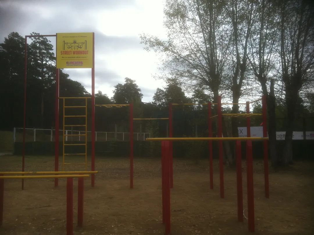 Pull Up Bar at Calisthenics Park at Кайдаловская улица, Чита – photo 1 of 8