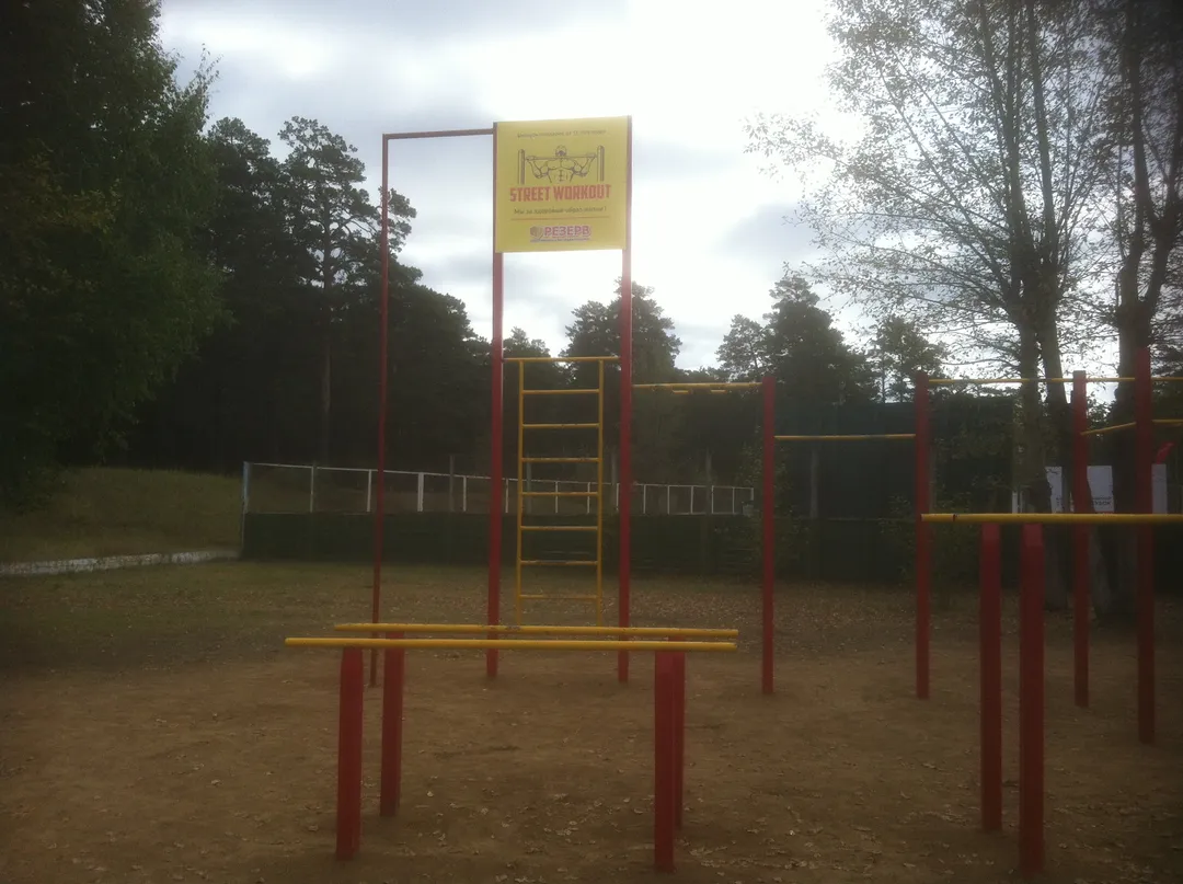 Parallel Gym Bars at Calisthenics Park at Кайдаловская улица, Чита – photo 2 of 8