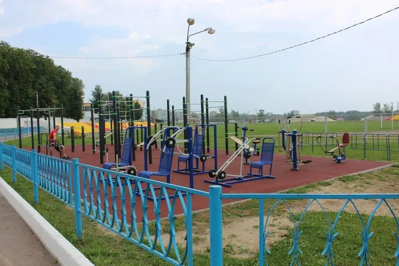 Упоры для отжиманий на площадке Calisthenics Park at спорткомплекс "Мещёра", Егорьевск – фото 2 из 5