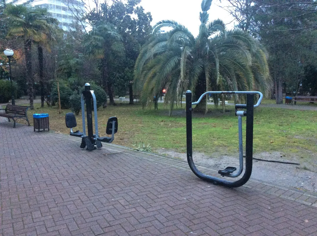 Maniglie per piegamenti presso Outdoor Gym in Театральная, Сочи – foto 2 di 4