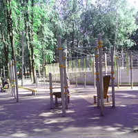 Calisthenics Park at Янтарный проезд, Москва - thumbnail 4